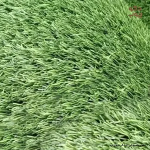 چمن مصنوعی صدف سوزنی